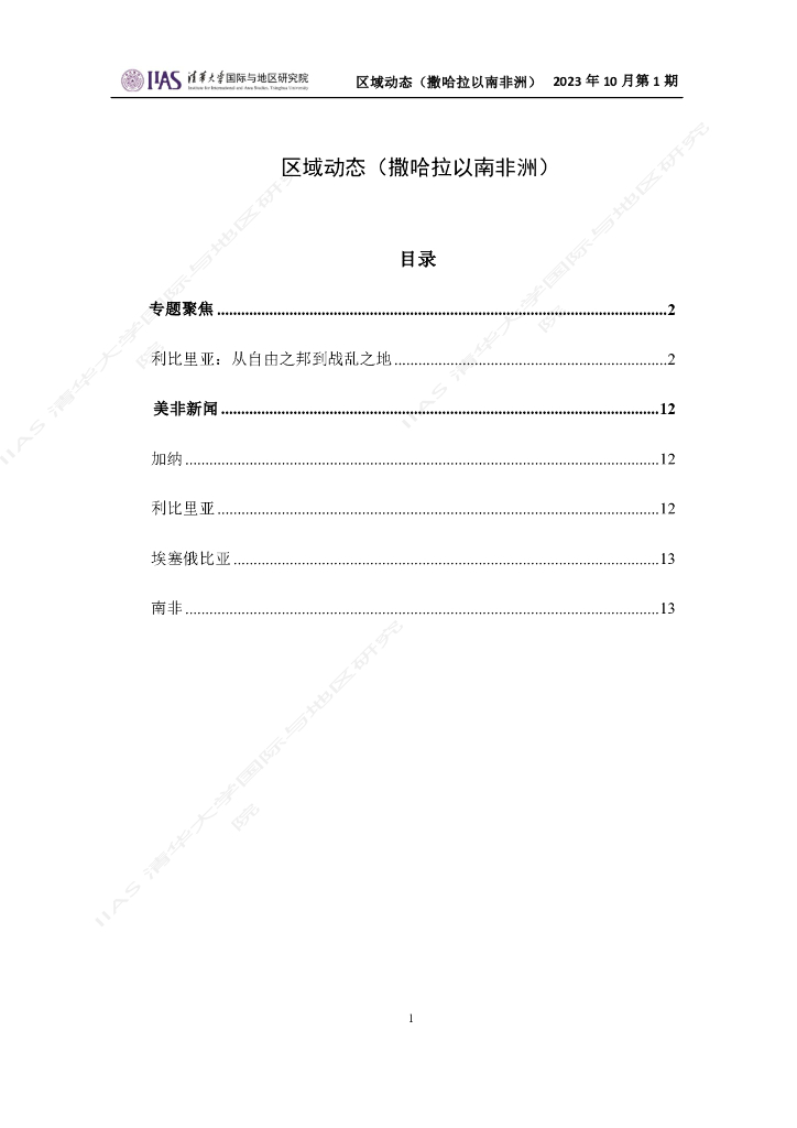 清华大学国际与地区研究院：撒哈拉以南非洲地区《区域动态》2023年10月第1期
