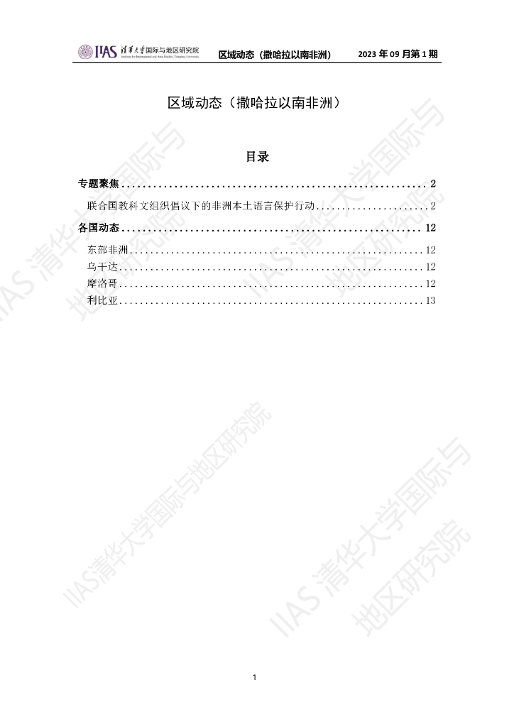 清华大学国际与地区研究院：撒哈拉以南非洲地区《区域动态》2023年9月第1期