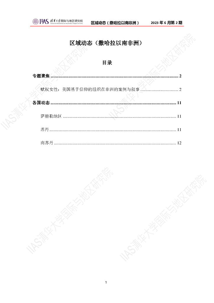 清华大学国际与地区研究院：撒哈拉以南非洲地区《区域动态》2023年6月第2期