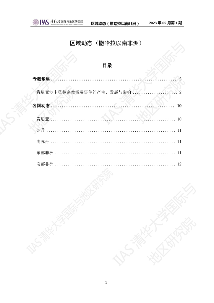清华大学国际与地区研究院：撒哈拉以南非洲地区《区域动态》2023年5月第1期