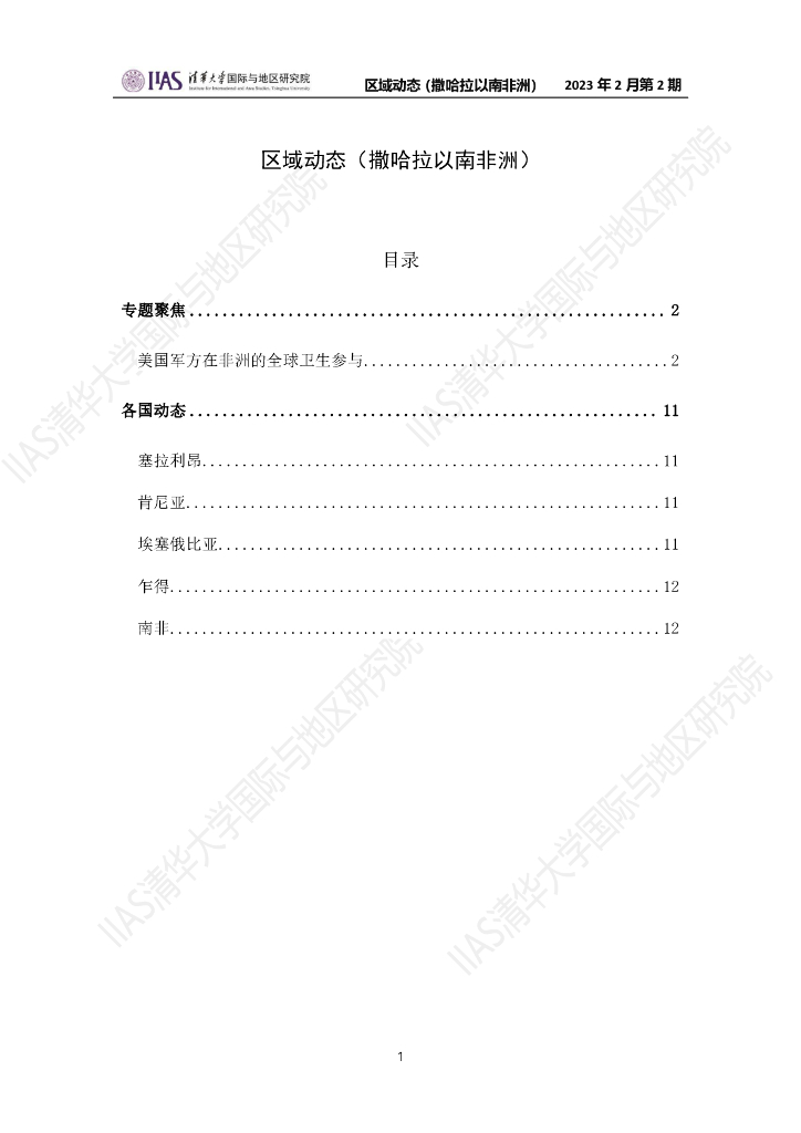 清华大学国际与地区研究院：撒哈拉以南非洲地区《区域动态》2023年2月第2期
