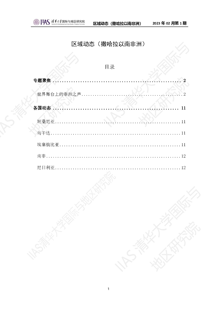 清华大学国际与地区研究院：撒哈拉以南非洲地区《区域动态》2023年2月第1期