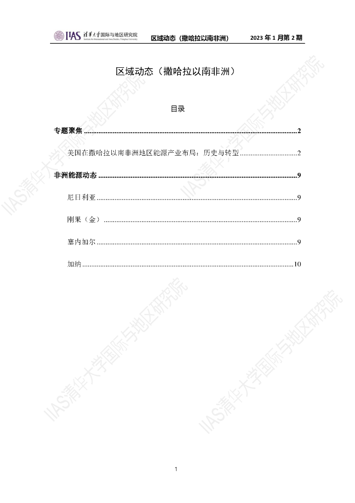 清华大学国际与地区研究院：撒哈拉以南非洲地区《区域动态》2023年1月第2期