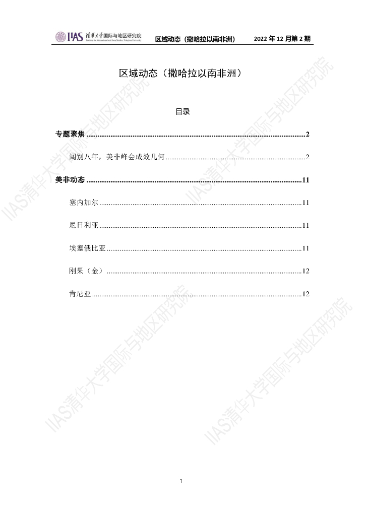 清华大学国际与地区研究院：撒哈拉以南非洲地区《区域动态》2022年12月第2期