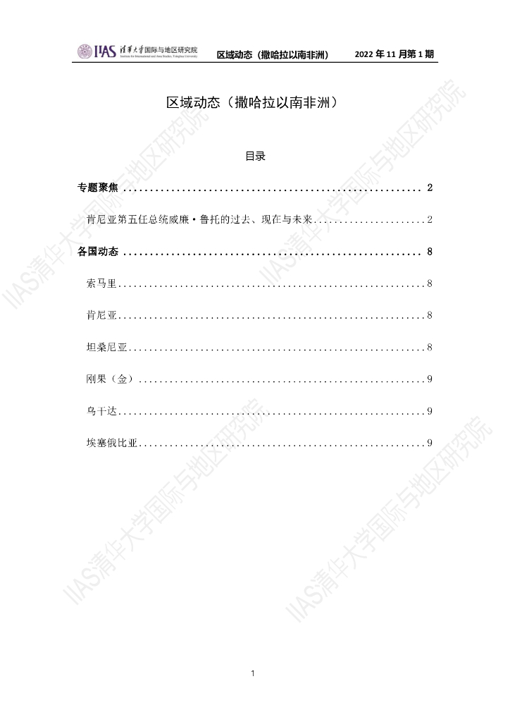 清华大学国际与地区研究院：撒哈拉以南非洲地区《区域动态》2022年11月第1期