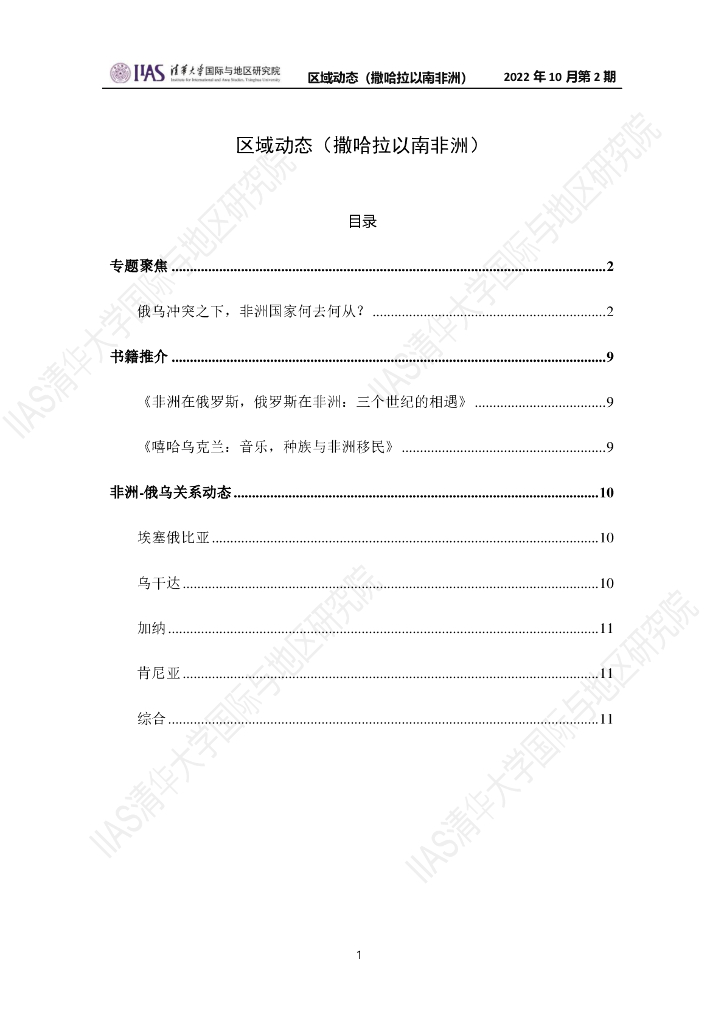 清华大学国际与地区研究院：撒哈拉以南非洲地区《区域动态》2022年10月第2期