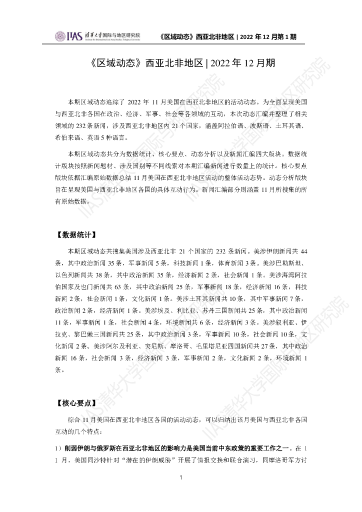清华大学国际与地区研究院：西亚北非地区《区域动态》2022年12月期