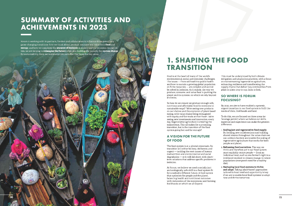 Forum for the Future：2023年度报告和财务报表（英文版）_第6页