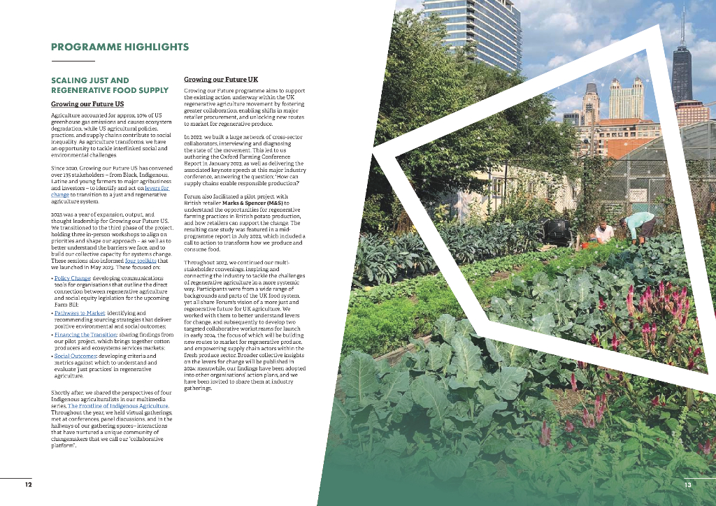 Forum for the Future：2023年度报告和财务报表（英文版）_第7页