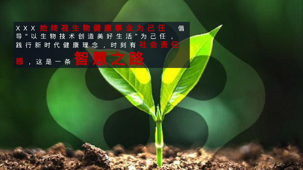 企业新春年会“向上的欣喜”活动策划方案_第6页