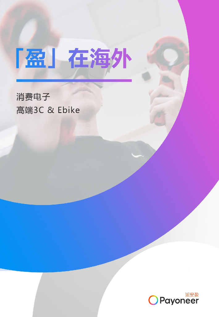 Payoneer：2024年“盈”在海外-线上消费市场洞察报告——消费电子篇