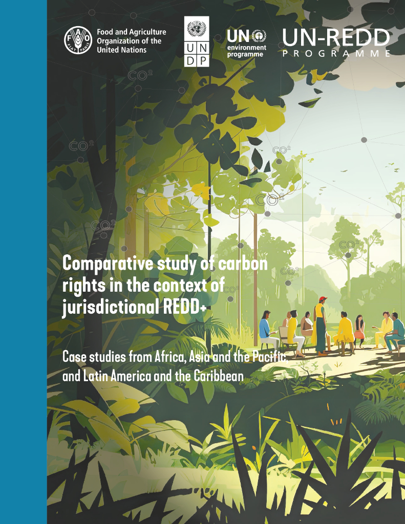FAO联合国粮农组织：2024年管辖范围内碳权利的比较研究REDD+（英文版）