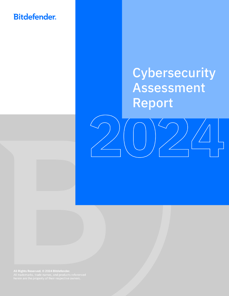 Bitfinder：2024年网络安全评估报告（英文版）