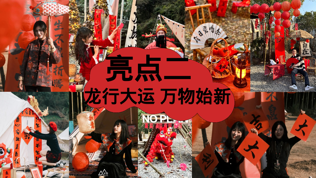 龙贺新春春节元旦露营季“新春露营趴 年货野集 烟花篝火 围炉煮茶”系列主题活动策划案_第10页