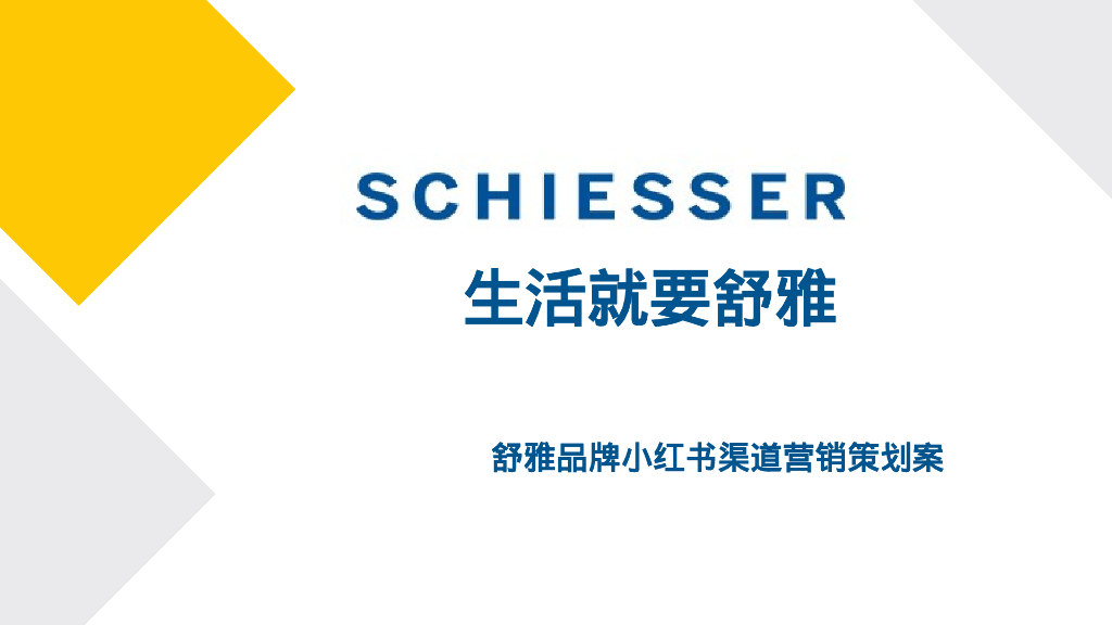 舒雅品牌小红书渠道营销策划案