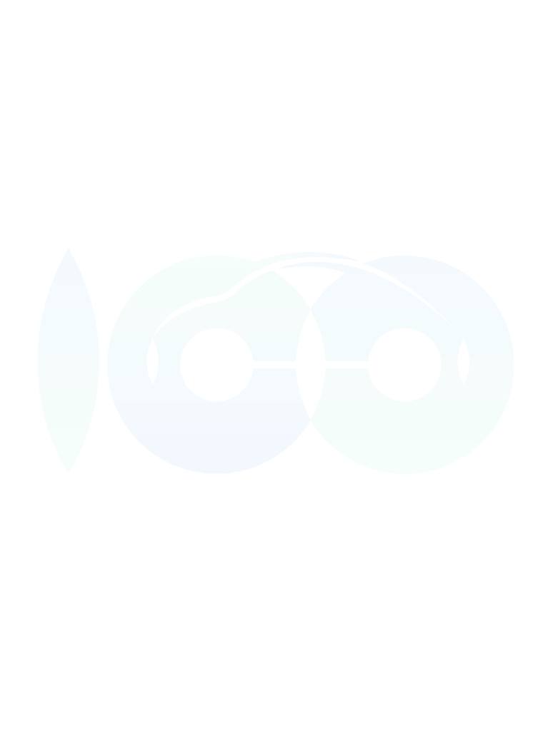 中国电动汽车百人会：典型区域充电基础设施建设运营及互联互通调研报告_第9页