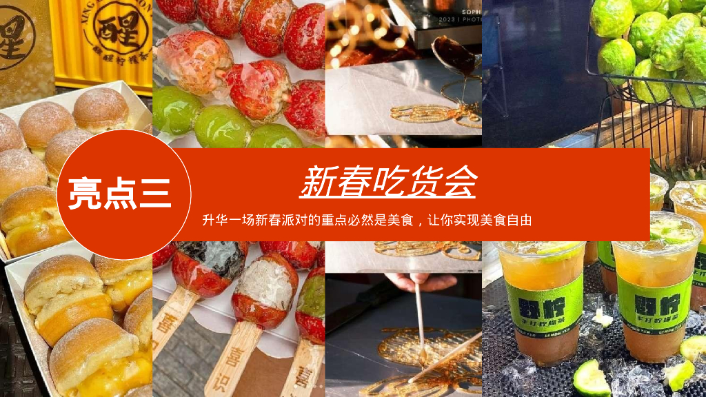 新春趣玩计划-龙年企业新年春节游园会活动策划方案_第8页