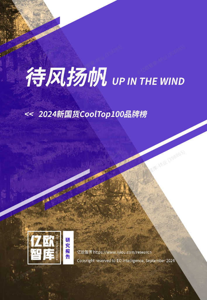 亿欧智库：2024年新国货CoolTop100品牌榜-扬风带帆