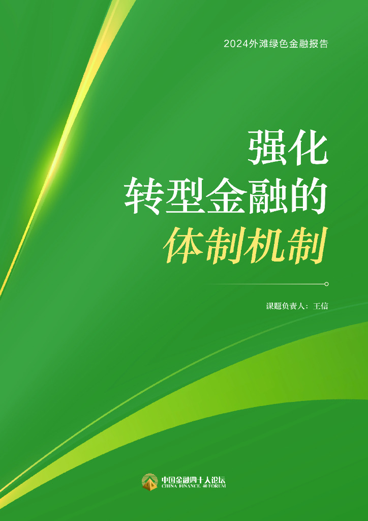 中国金融四十人论坛：2024年外滩绿色金融报告-强化转型金融的体制机制