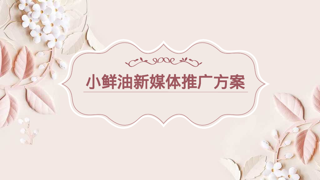 小鲜油新媒体推广方案