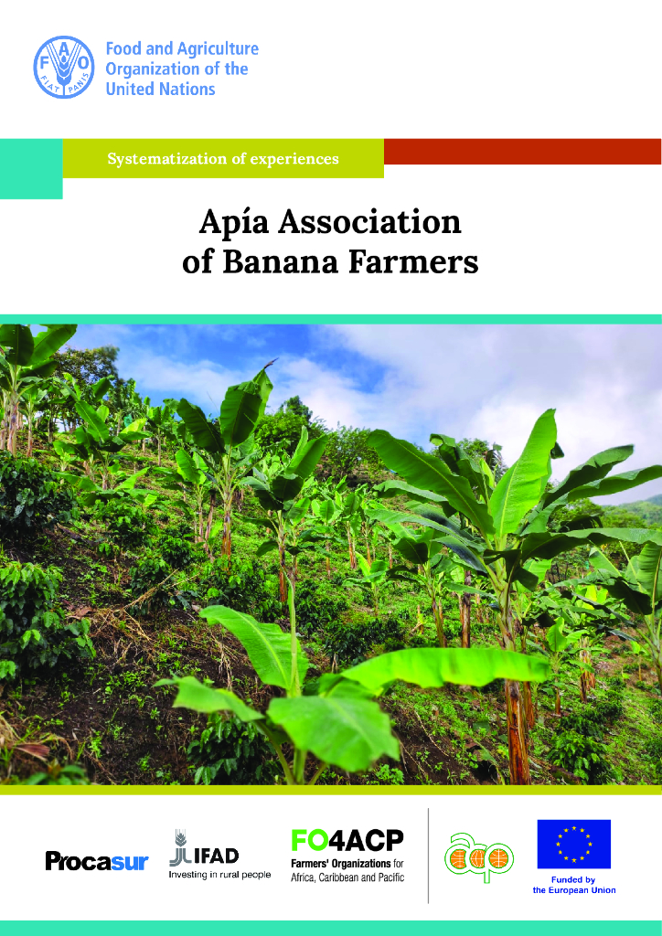 FAO联合国粮农组织:2024年阿皮亚香蕉<em>种植</em>者协会报告(英文版) 海报
