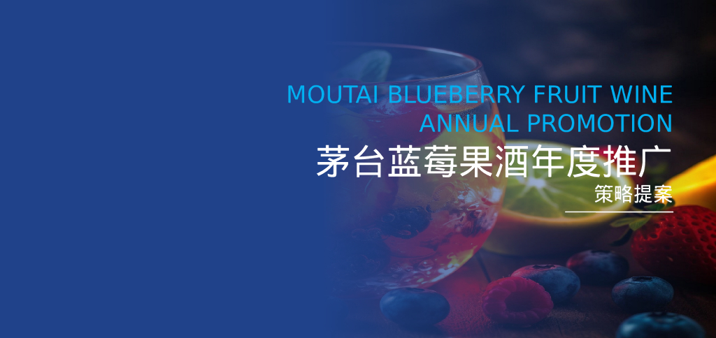 茅台蓝莓果酒年度推广策略提案