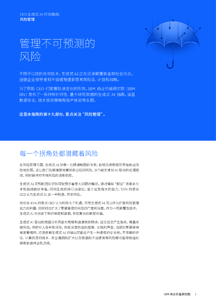IBM商业价值研究院：2024年CEO生成式AI行动指南：风险管理