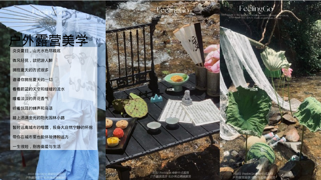 2024文旅项目国庆系列“都市里的荷花坞”活动策划方案_第10页