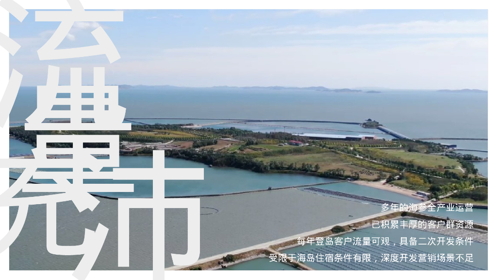 野趣海岛 平阔盛-中国首个参主题海岛文旅内容规划方案_第6页