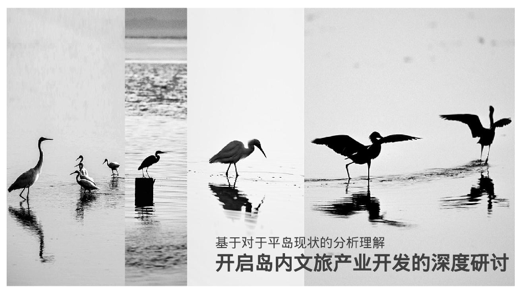 野趣海岛 平阔盛-中国首个参主题海岛文旅内容规划方案_第7页