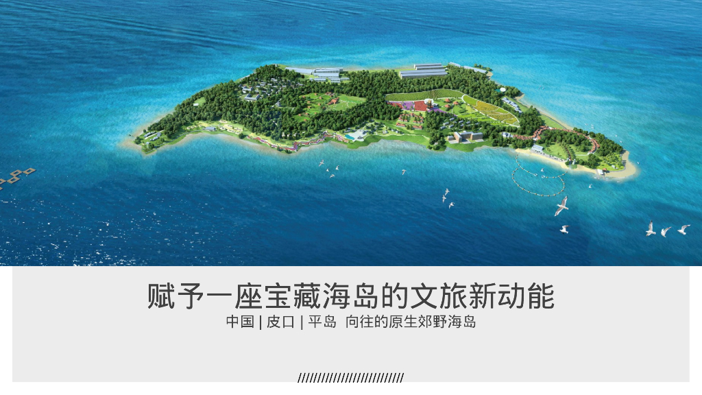 野趣海岛 平阔盛-中国首个参主题海岛文旅内容规划方案_第10页