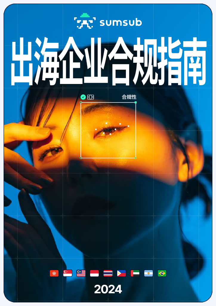 Sumsub：2024年出海企业合规指南报告