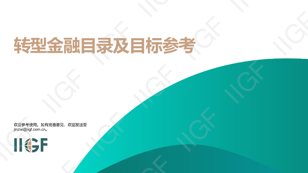 IIGF央财绿金院：2024年转型金融应用参考手册