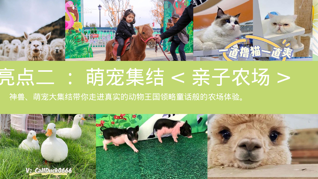 文旅项目春日嘉年华“春日潮悦计划”活动策划方案_第10页