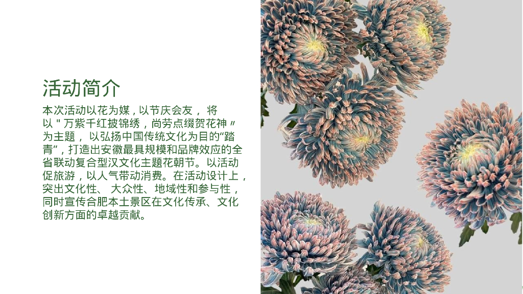 文旅景区首届汉文化主题花朝节活动策划方案_第7页