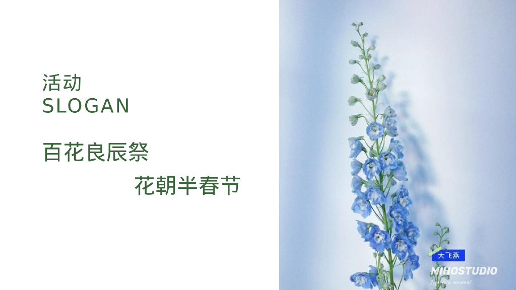 文旅景区首届汉文化主题花朝节活动策划方案_第10页