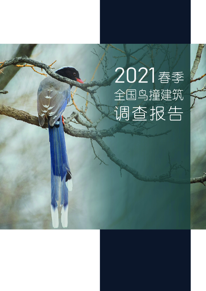 昆山杜克大学：2021年春季全国鸟撞建筑调查报告