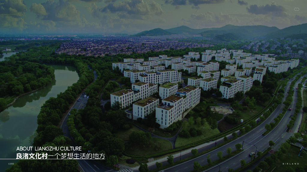 玉鸟集文旅策划方案_第8页