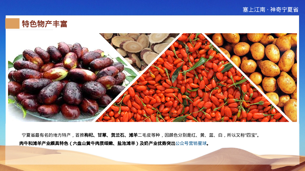 宁夏省文化和旅游品牌新媒体宣传推广方案_第10页