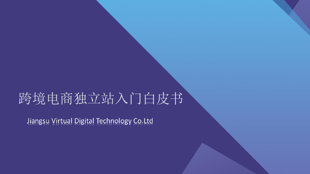 易诺：2024年跨境电商独立站<em>入门</em>白皮书 海报
