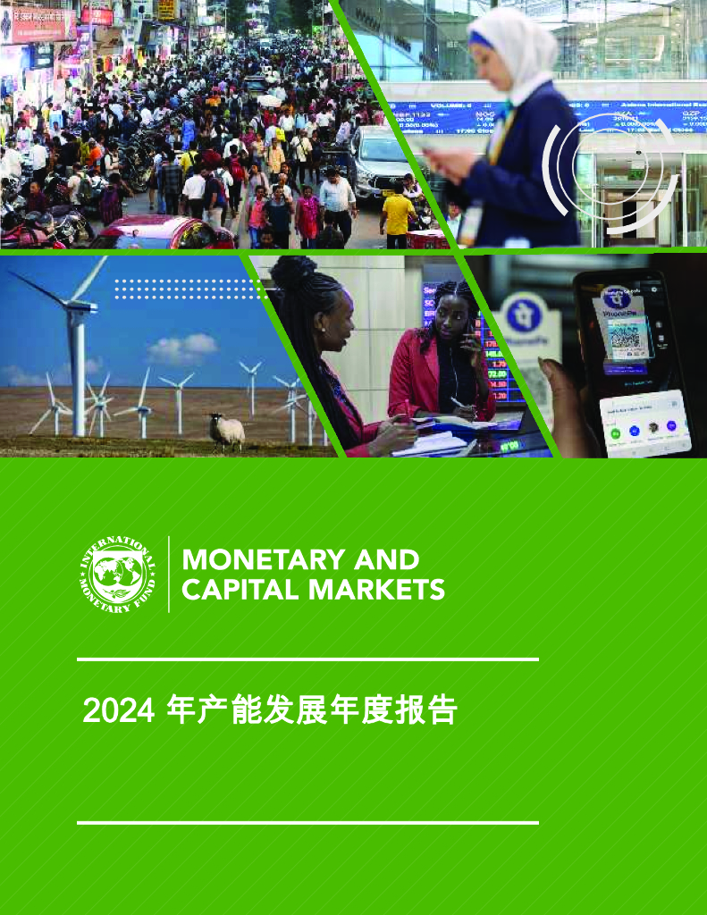 国际货币基金组织：2024年产能发展年度报告