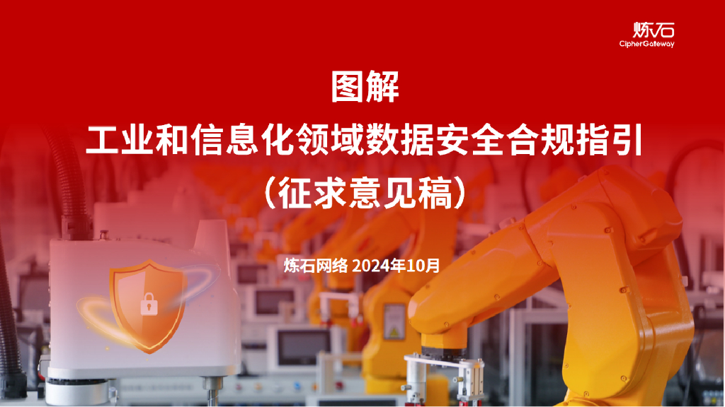 炼石网络：2024年图解工业和信息化领域数据安全合规指引（征求意见稿）.V1.0.0