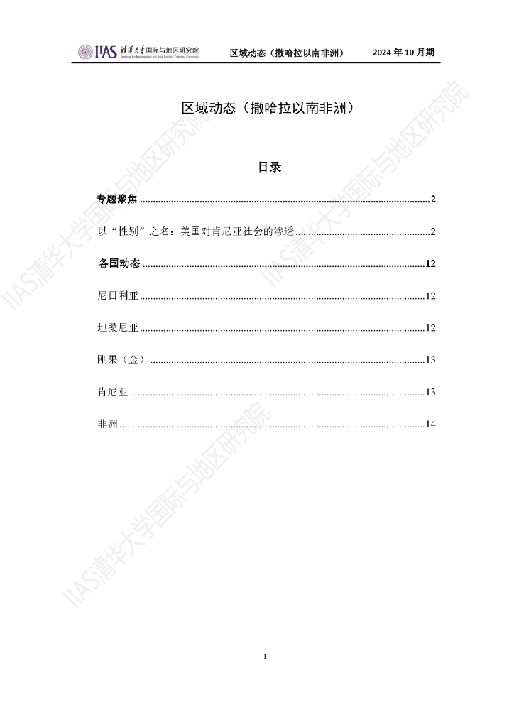 清华大学国际与地区研究院：撒哈拉以南非洲地区《区域动态》2024年10月期