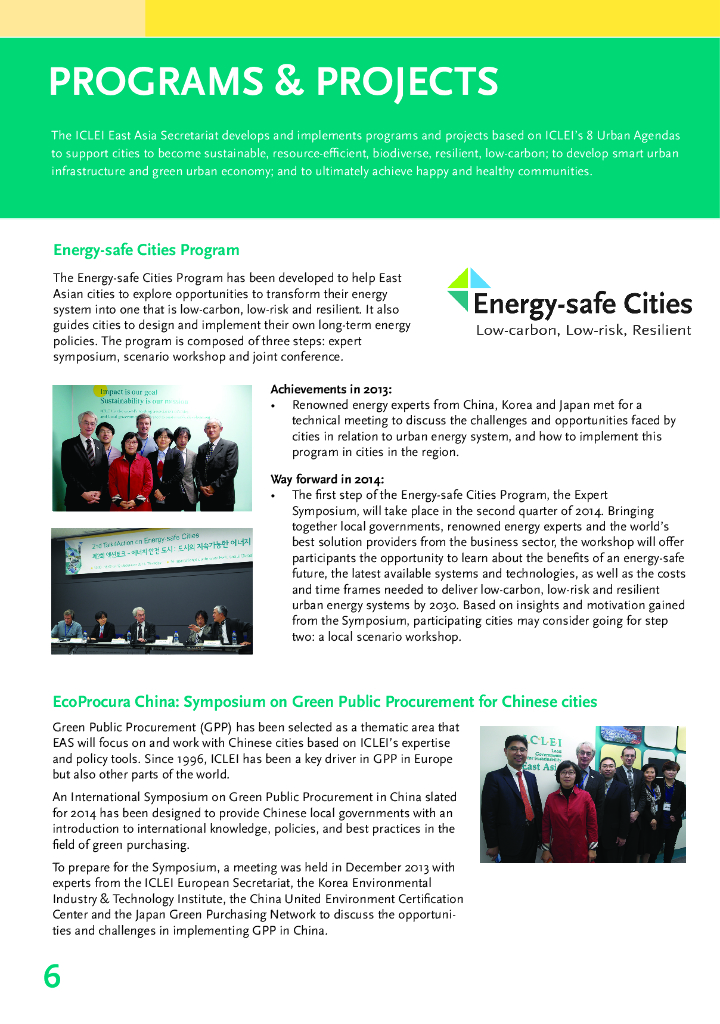 ICLEI： 2013年度工作报告（英文版 ）_第8页