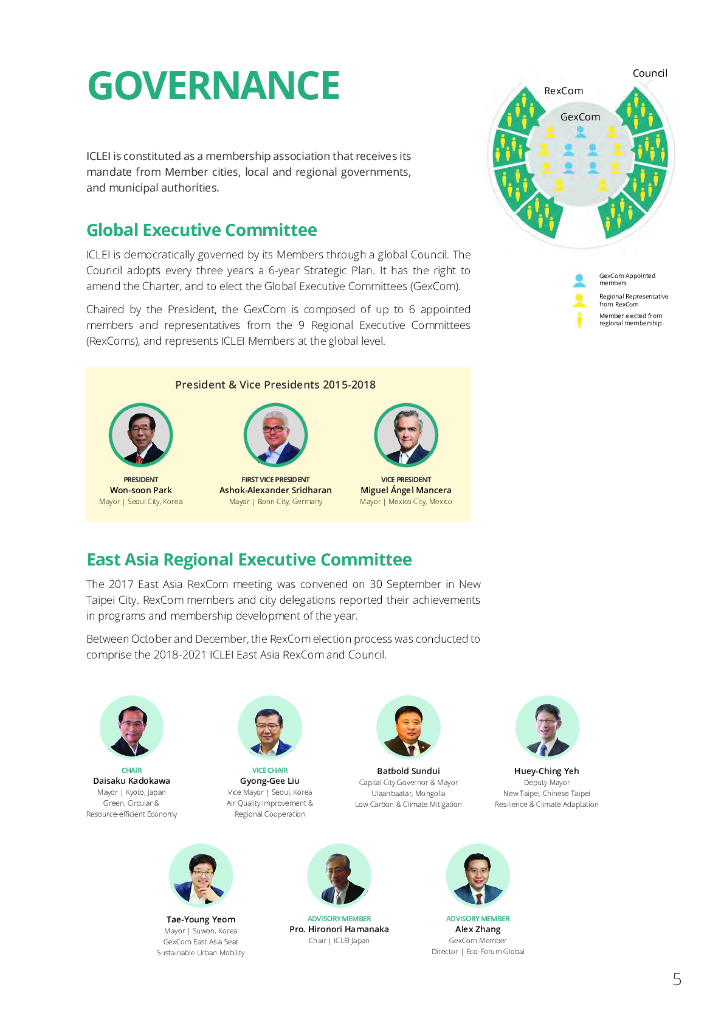 ICLEI：2017年度工作报告（英文版）_第5页