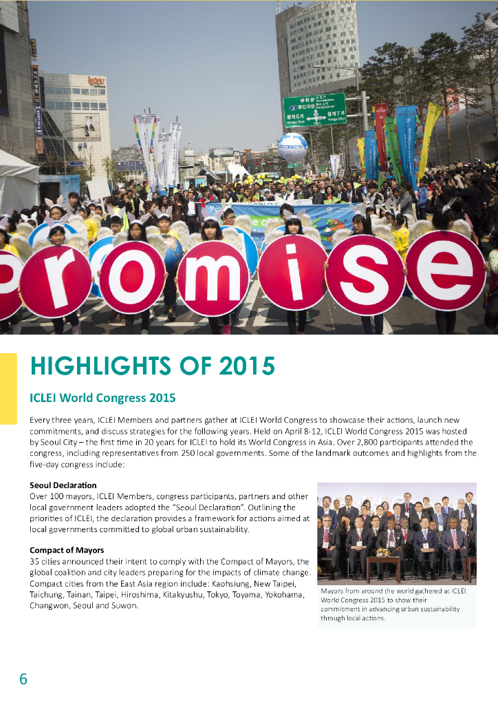 ICLEI：2015年度报告（英文版）_第6页