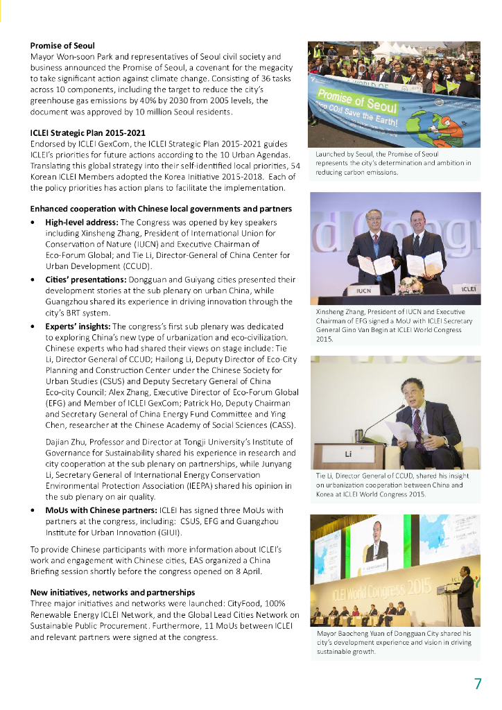 ICLEI：2015年度报告（英文版）_第7页
