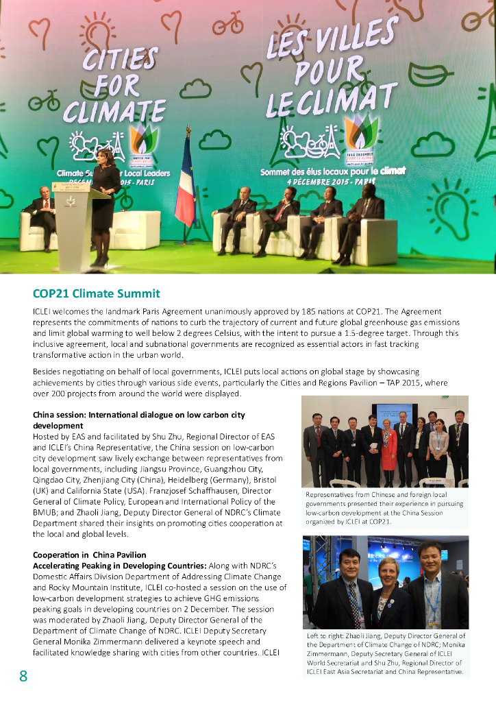 ICLEI：2015年度报告（英文版）_第8页