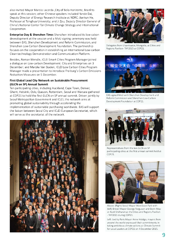 ICLEI：2015年度报告（英文版）_第9页