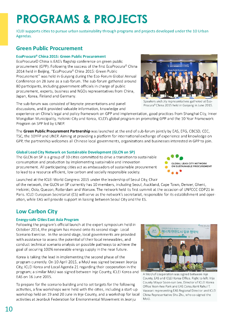 ICLEI：2015年度报告（英文版）_第10页
